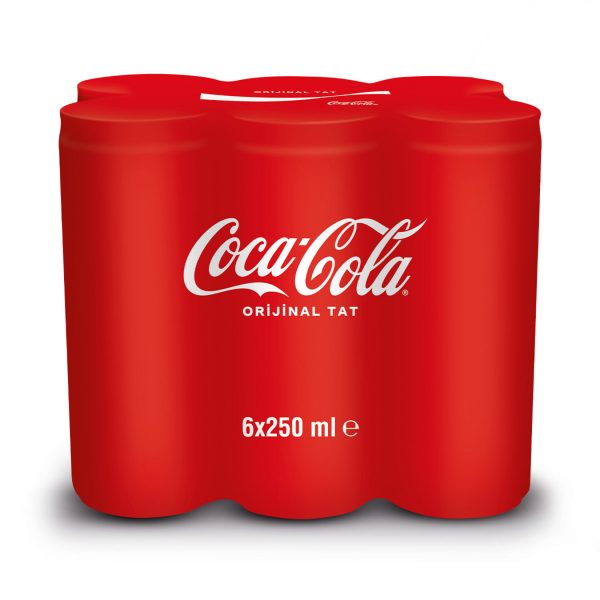 Coca Cola 6x250ml Kutu