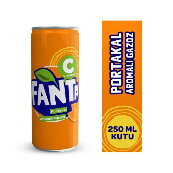 Fanta 250ml Kutu
